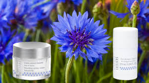 Soins spécifique contour des yeux au bleuet